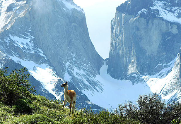 Parque Nacional Torres del Paine 