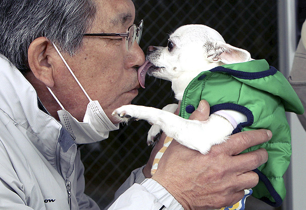 Periodo de rescate trás terremoto en Japón 