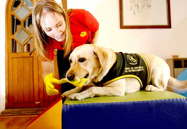 Entrenan a perro para avisar a joven diabético la baja de azúcar 