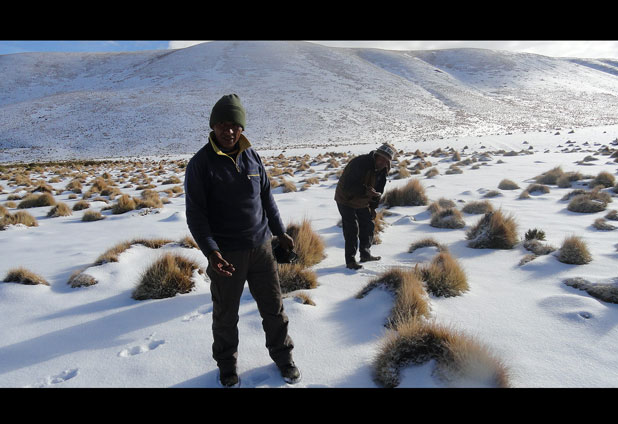 Buscan a 12 extranjeros que quedaron atrapados por tormenta de nieve en Bolivia 