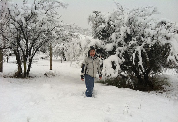 Nieve en Santiago por lectores de Emol 