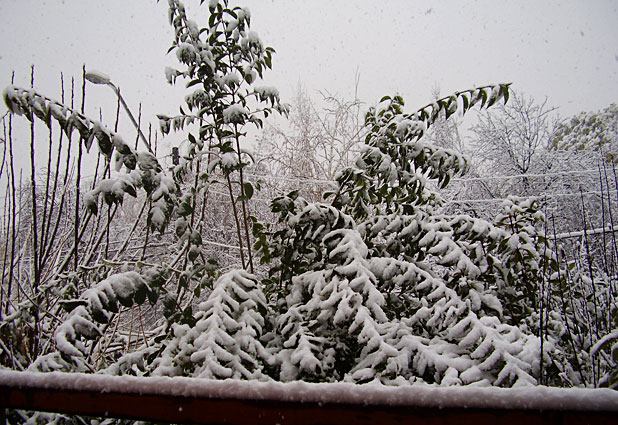 Nieve en Santiago por lectores de Emol 