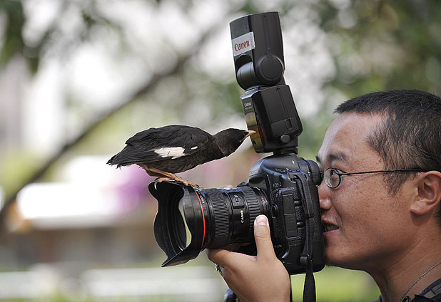 Xiao Nuo, un pájaro fotogénico 