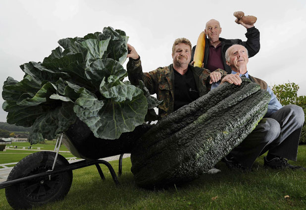 Feria de flores celebra sus 100 años con vegetales gigantes 