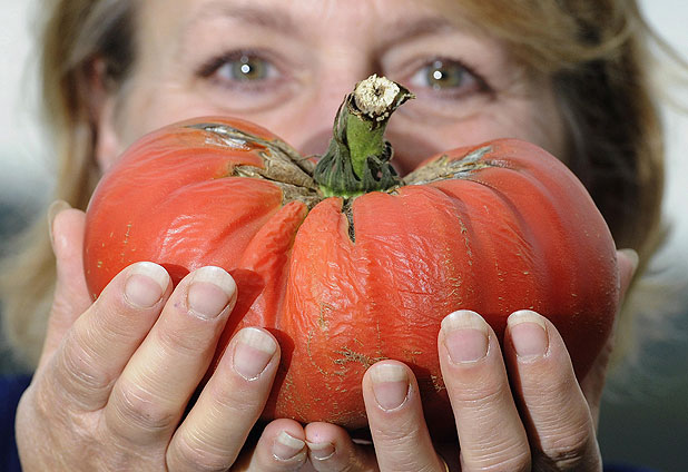 Concurso de vegetales gigantes 