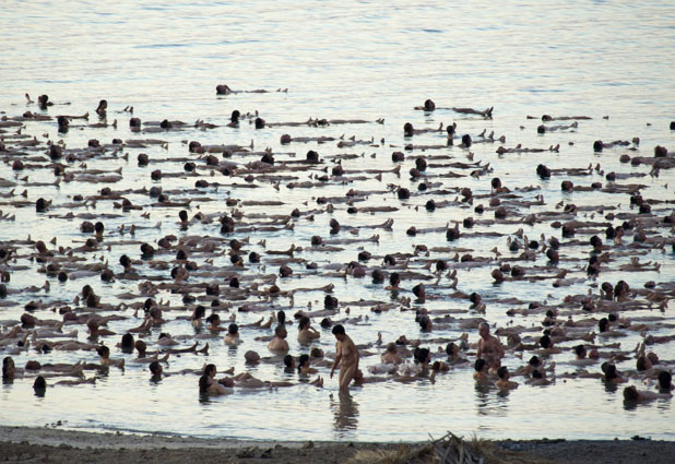 Spencer Tunick en el mar Muerto 