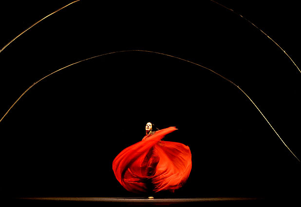 Spanish Flamenco Dancer 