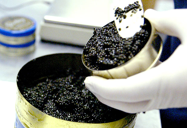 Luego de los melones, posible infección por listeria afecta a exótico caviar en EE.UU. 