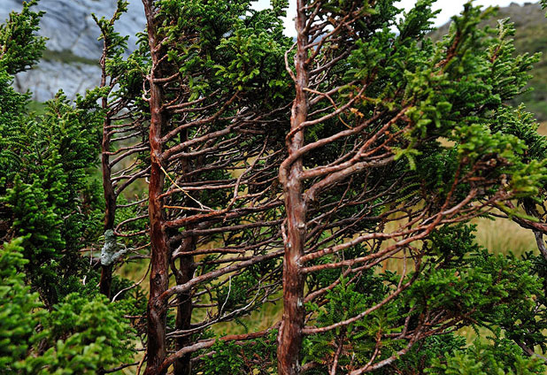 La belleza oculta de isla Madre de Dios 
