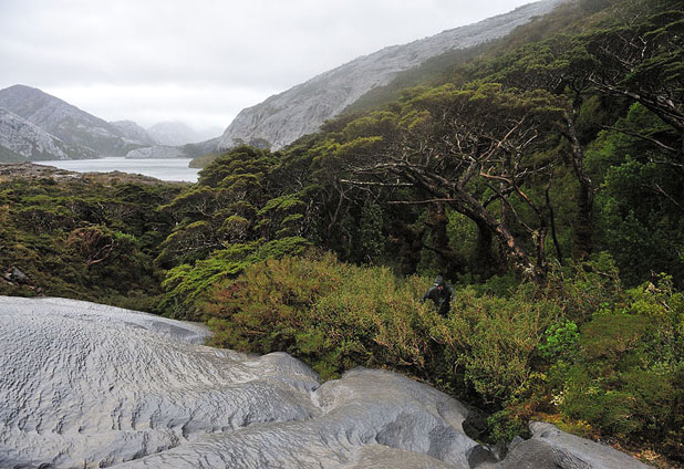 La belleza oculta de isla Madre de Dios 