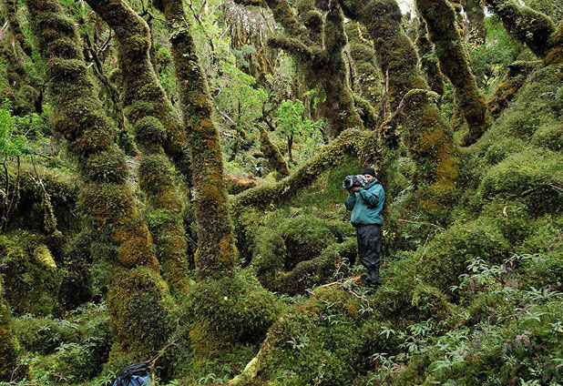 La belleza oculta de isla Madre de Dios 