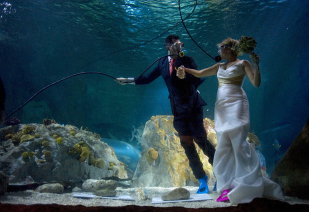 Una pareja de españoles celebró su boda en el tanque de un acuario 