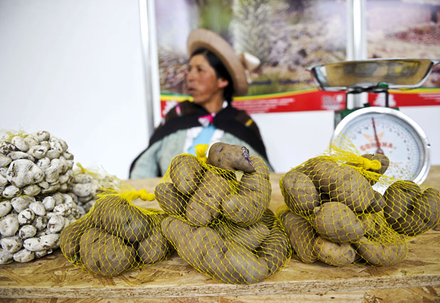 Feria gastronómica en Perú 