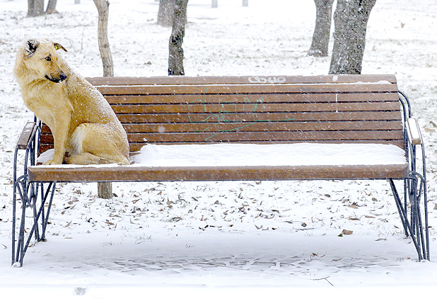 The heavy winter weather is coming back in Romania 