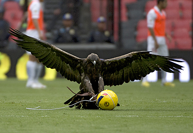 The Apertura 2013 Mexican league football match 